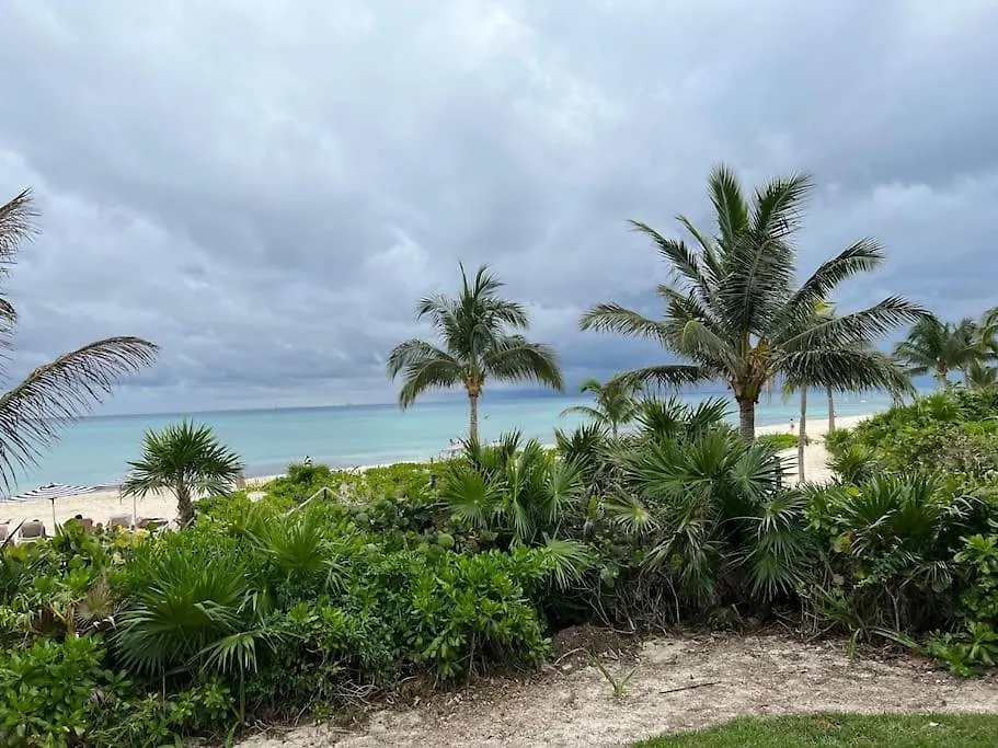 Brand New And Amazing Penthouse! Apartment Playa del Carmen